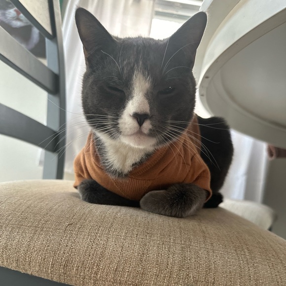 Welcome 🙏 so glad you found me 💖 - Picture 12 of 17